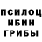 Галлюциногенные грибы Psilocybine cubensis Allen Hood
