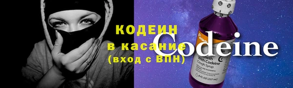 гашик Дмитриев
