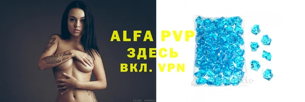 гашик Дмитриев