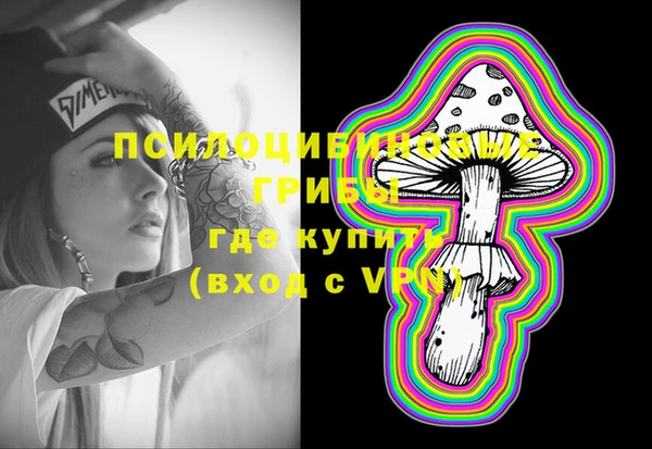 гидра Дмитров