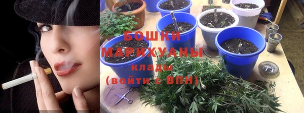 гашик Дмитриев