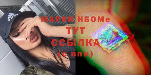 гашик Дмитриев
