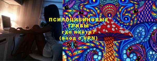 гашик Дмитриев