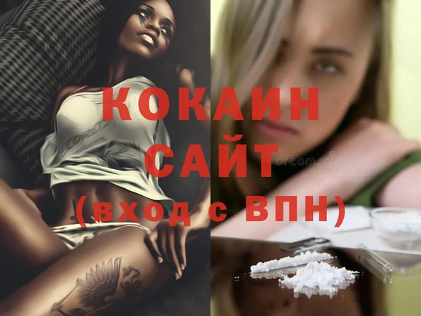 гашик Дмитриев