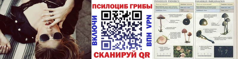 Псилоцибиновые грибы ЛСД  Серпухов 